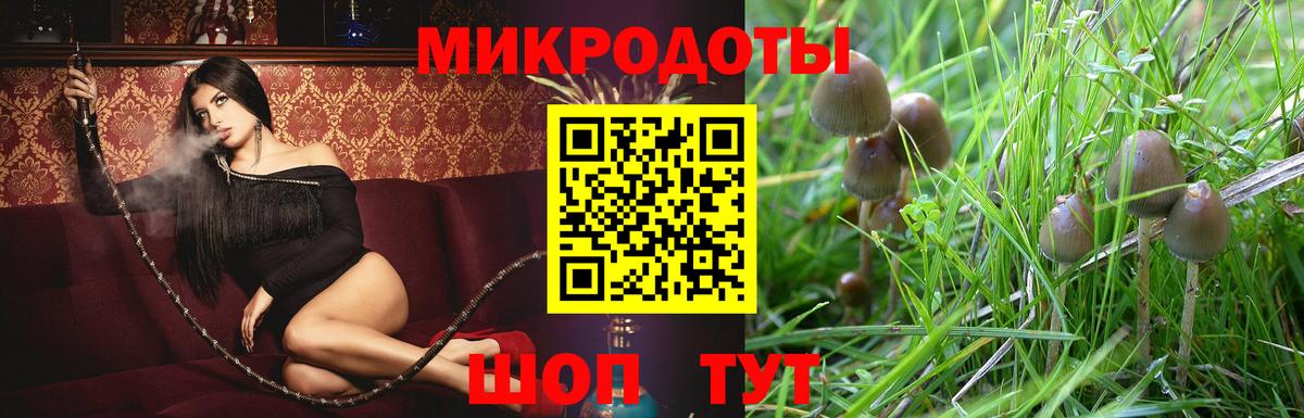 Галлюциногенные грибы Magic Shrooms  Вход с VPN  Сердобск  Галлюциногенные грибы Magic Shrooms 